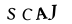 To show CAPTCHA, please deactivate cache plugin or exclude this page from caching or disable CAPTCHA at WP Booking Calendar - Settings General page in Form Options section.